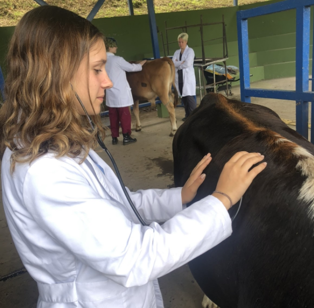 Abey white coat costa rica